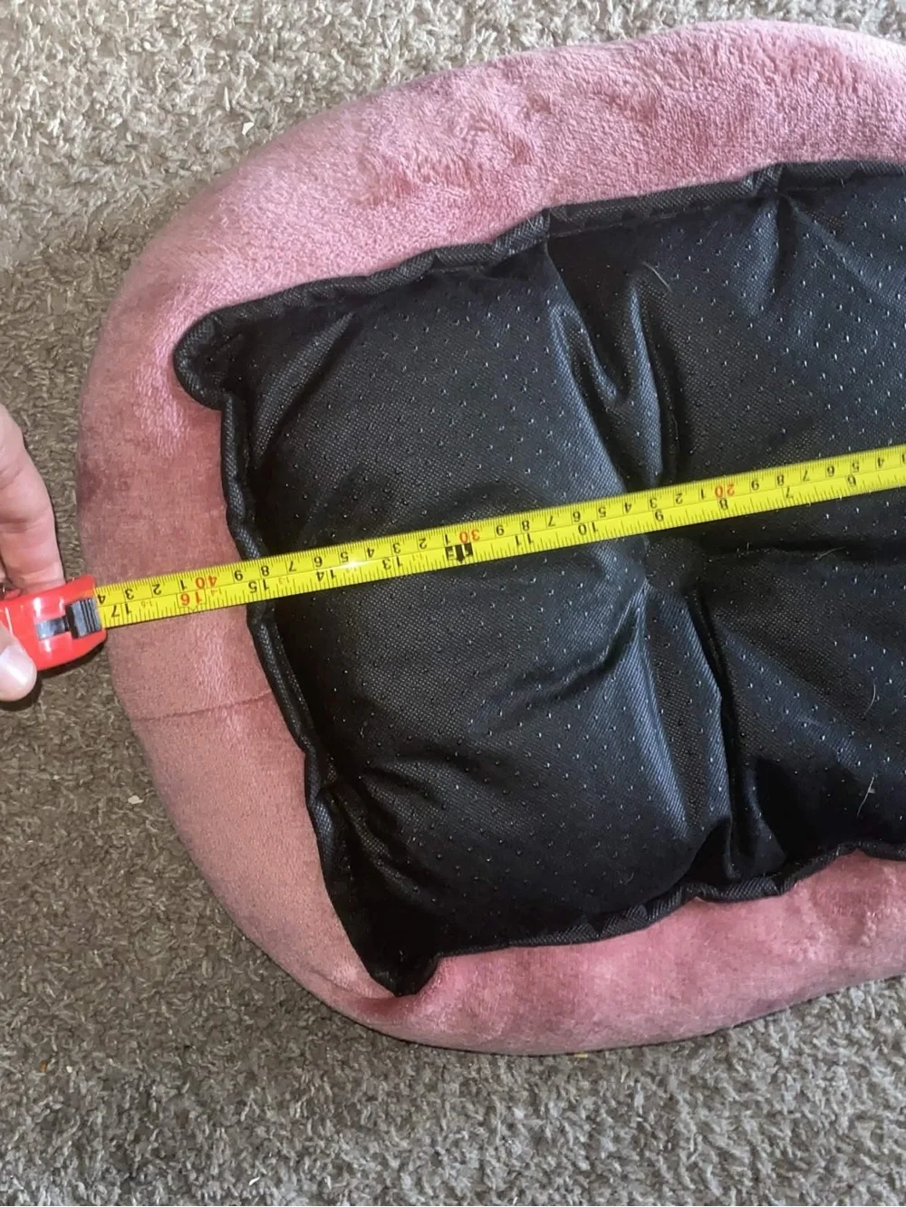 EveryYay Essentials Mauve Pink Cuddler Cat Bed 19x16 W/ Ball, Harness & Scarf
